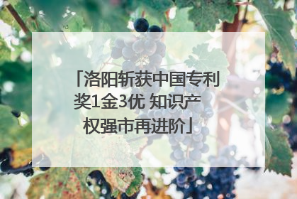 洛阳斩获中国专利奖1金3优 知识产权强市再进阶